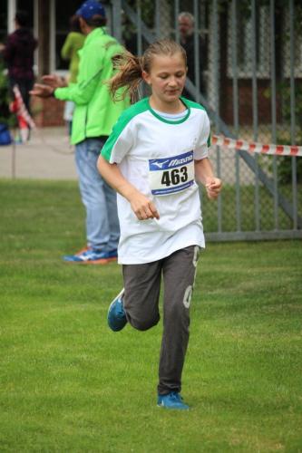 Moorlauf2016 178