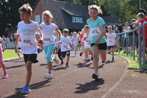 IMG 3138 moorlauf 2019