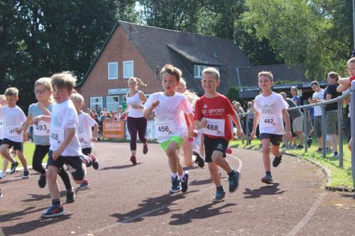 IMG 3139 moorlauf 2019