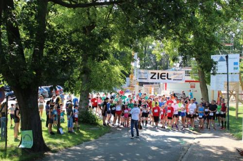 IMG 3173 moorlauf 2019