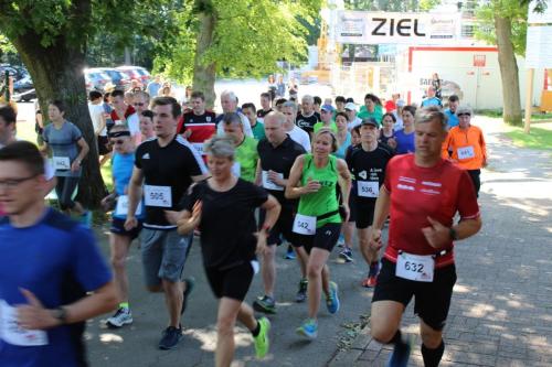 IMG 3183 moorlauf 2019