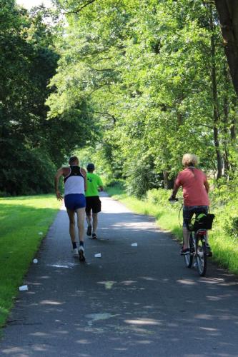 IMG 3283 moorlauf 2019