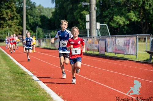 IMG 9537